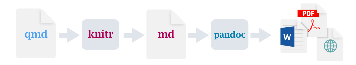 工作流图,从 qmd 文件开始,然后是 knitr,然后是 md, 然后是 pandoc,最后是 PDF、MS Word 或 HTML。